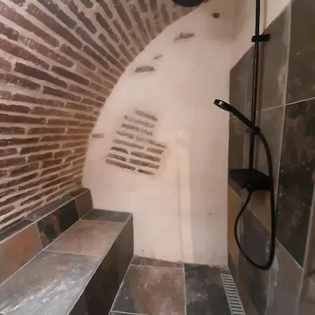 Apartment Et Privatif Le Puits De La Grace Albi