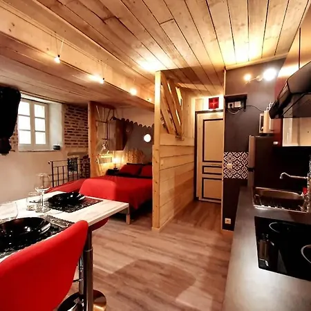 Apartment Et Privatif Le Puits De La Grace Albi