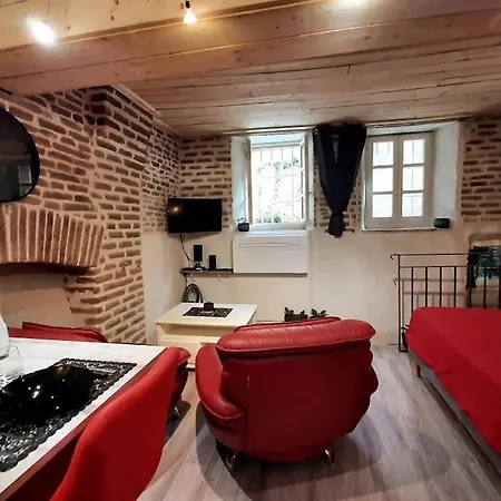 Et Privatif Le Puits De La Grace * Albi