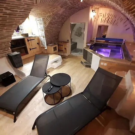 Apartment Et Privatif Le Puits De La Grace Albi