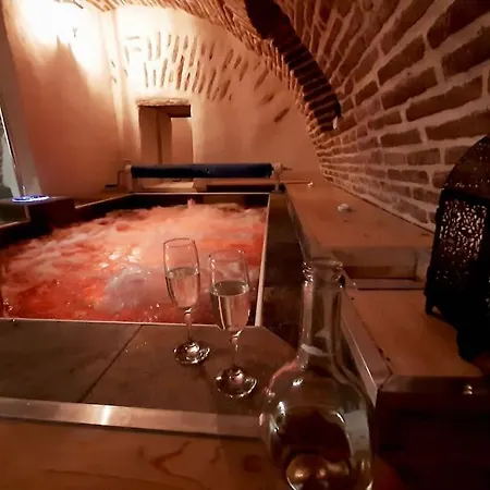 Et Privatif Le Puits De La Grace Albi