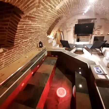 Et Privatif Le Puits De La Grace Albi