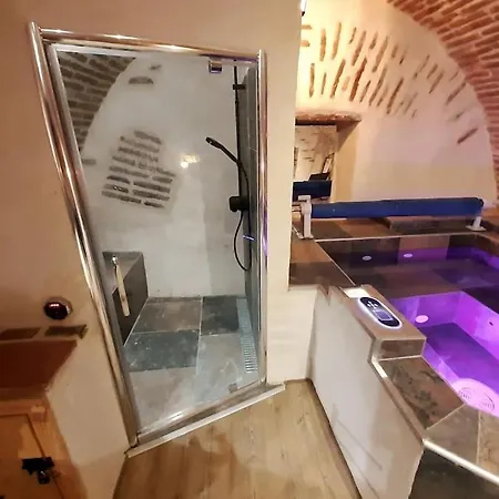 アパート Et Privatif Le Puits De La Grace アルビ