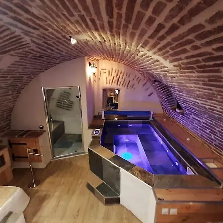 Et Privatif Le Puits De La Grace アルビ