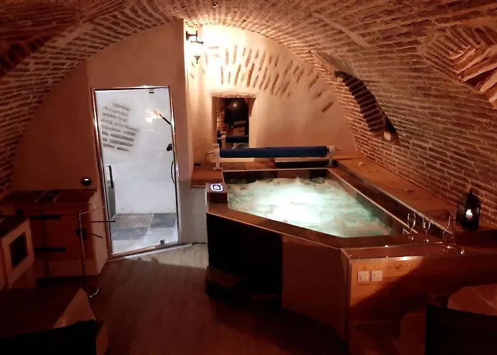 Et Privatif Le Puits De La Grace Albi