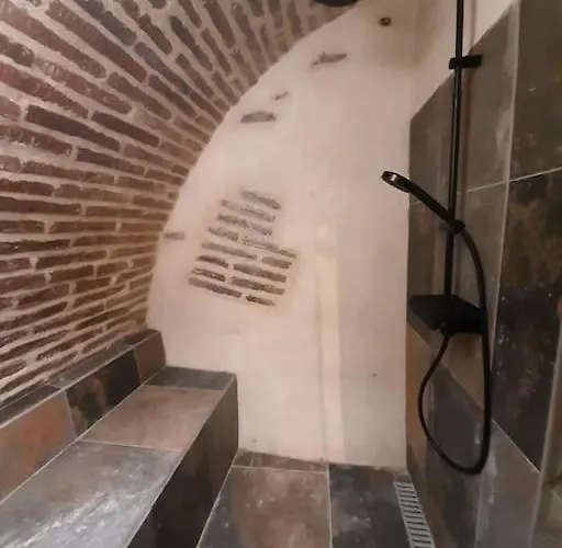 Lägenhet Et Privatif Le Puits De La Grace Albi