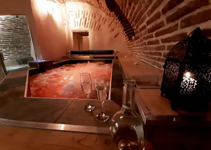 Et Privatif Le Puits De La Grace Albi