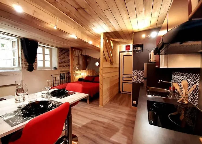 Lägenhet Et Privatif Le Puits De La Grace Albi