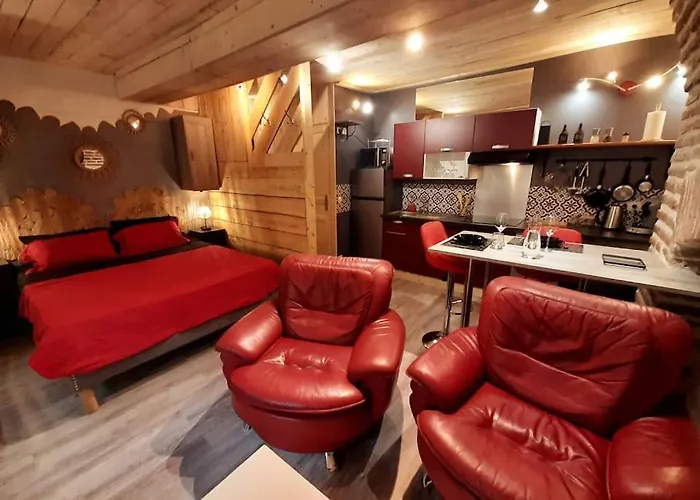 Et Privatif Le Puits De La Grace Albi