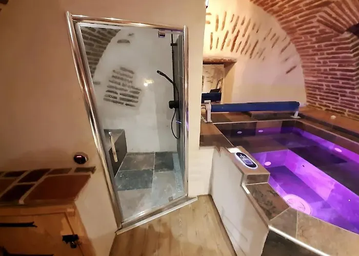 Lägenhet Et Privatif Le Puits De La Grace Albi