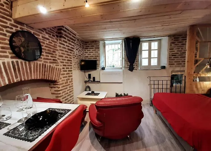 Et Privatif Le Puits De La Grace * Albi